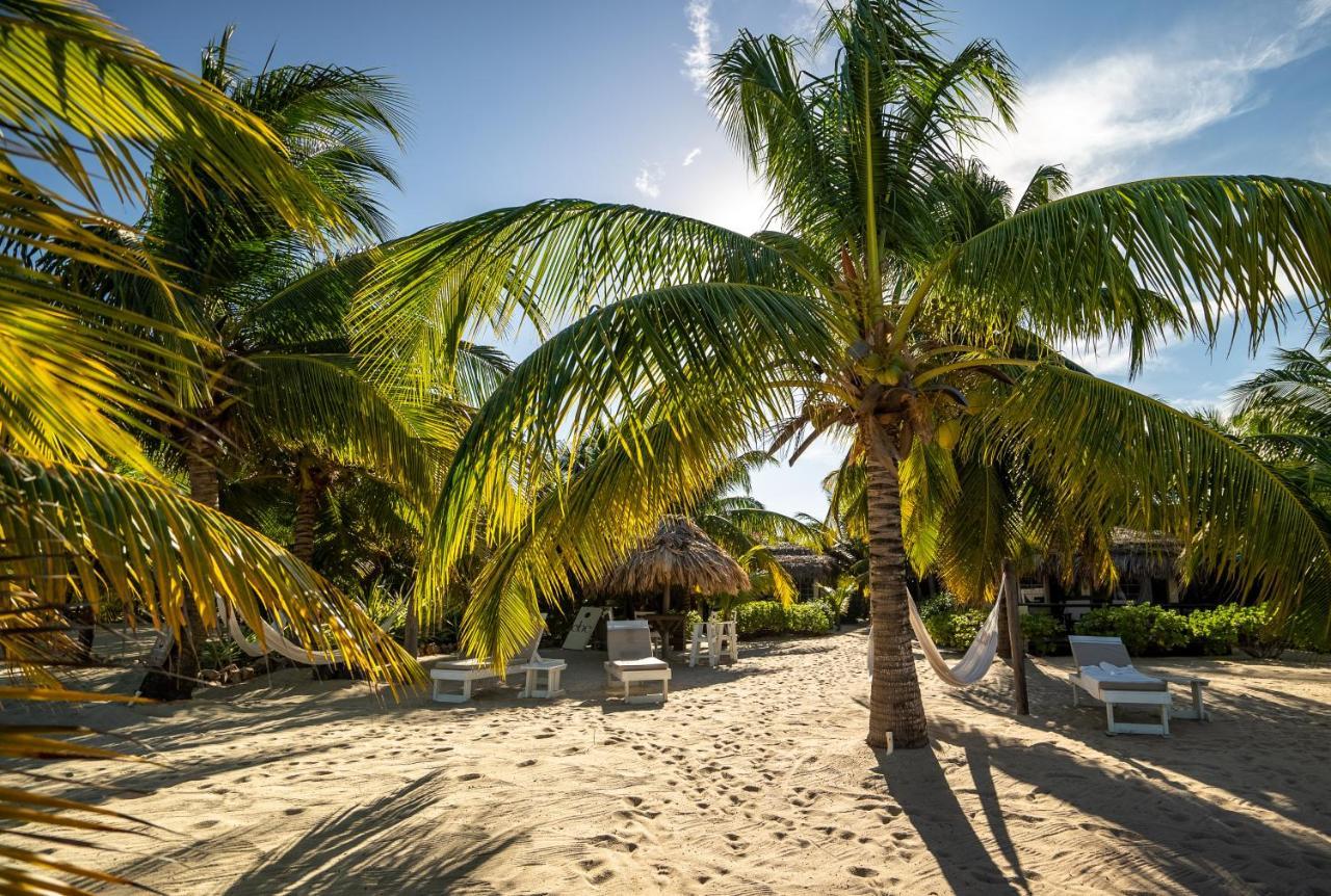 Caribbean Beach Cabanas Placencia Exteriör bild