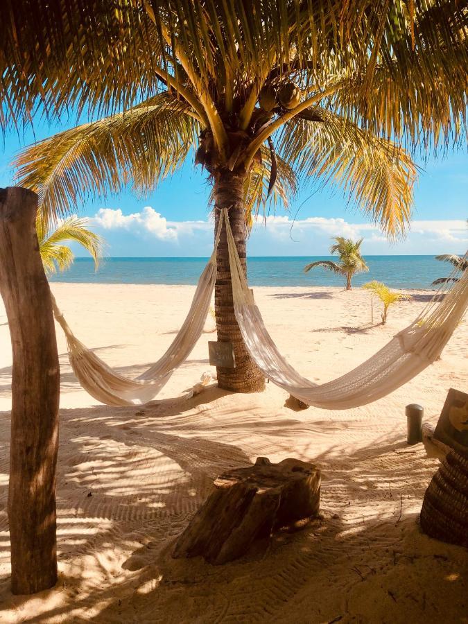 Caribbean Beach Cabanas Placencia Exteriör bild