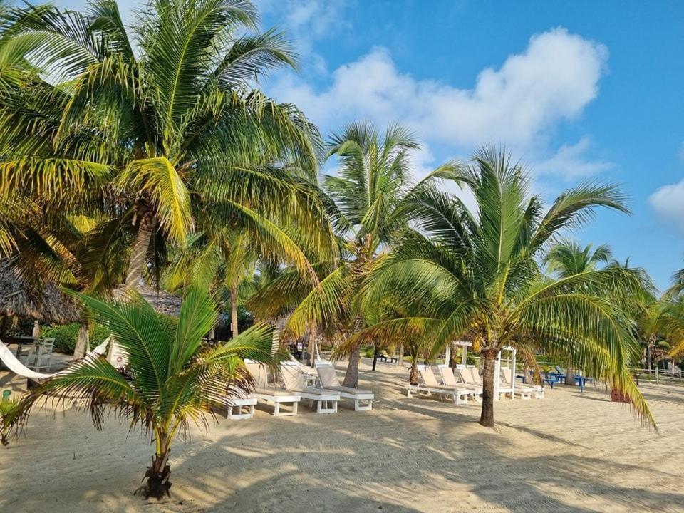 Caribbean Beach Cabanas Placencia Exteriör bild