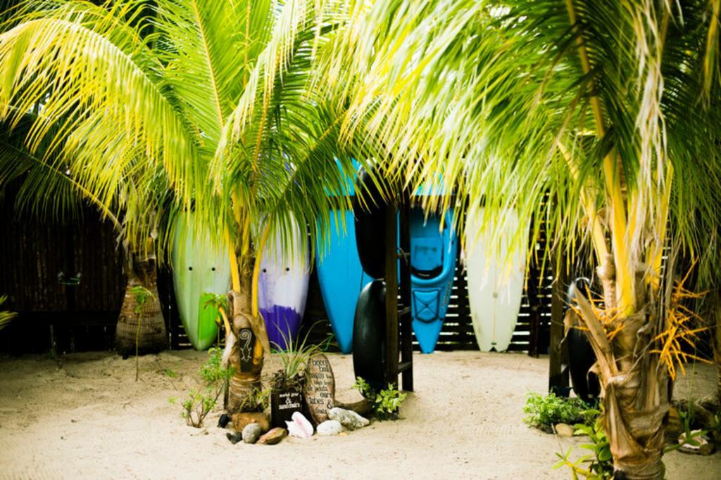 Caribbean Beach Cabanas Placencia Exteriör bild