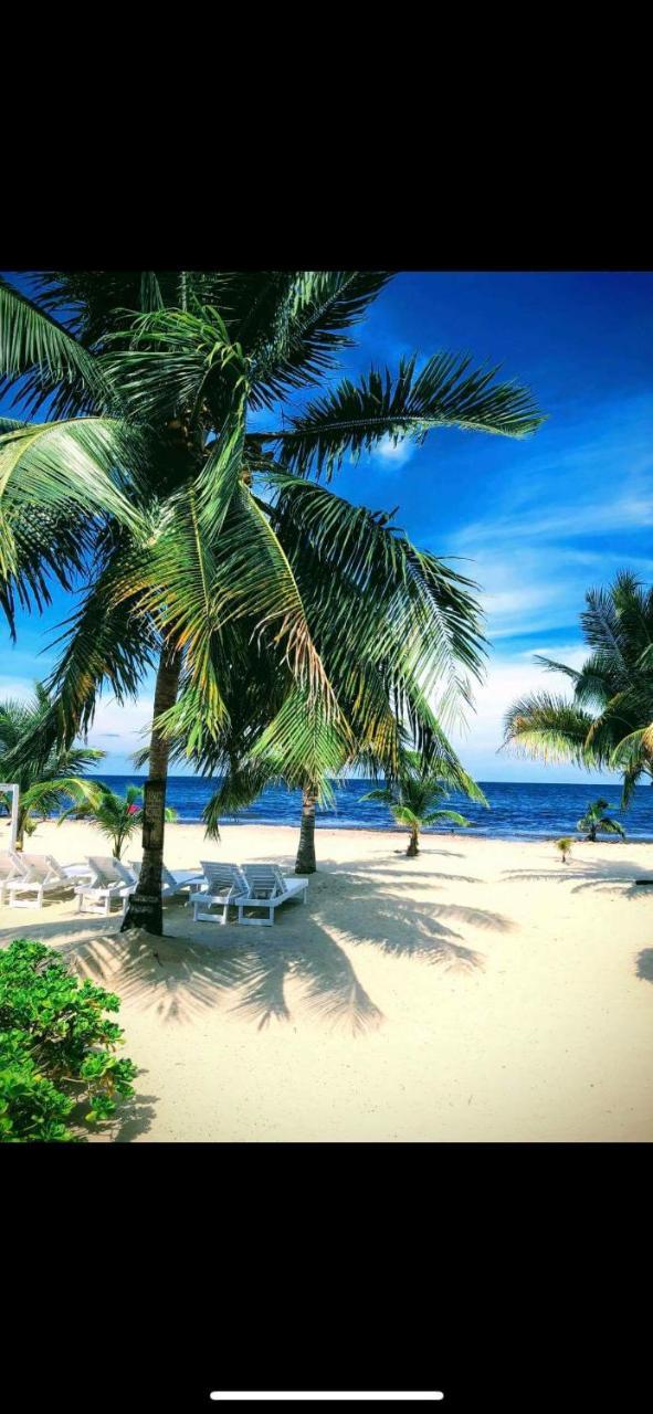 Caribbean Beach Cabanas Placencia Exteriör bild