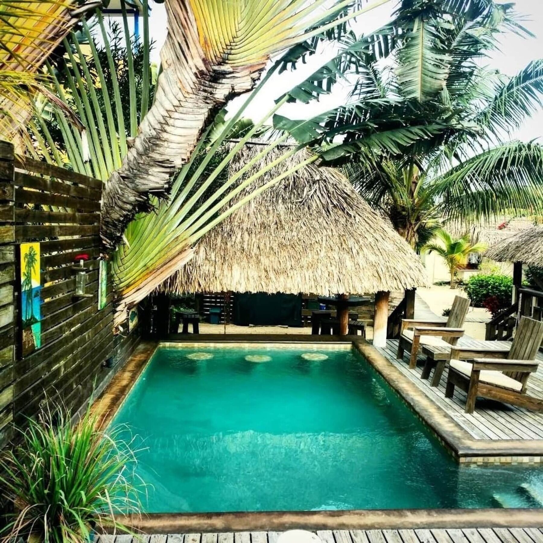 Caribbean Beach Cabanas Placencia Exteriör bild